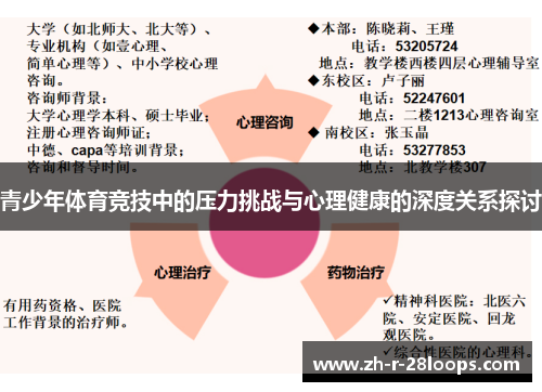 青少年体育竞技中的压力挑战与心理健康的深度关系探讨